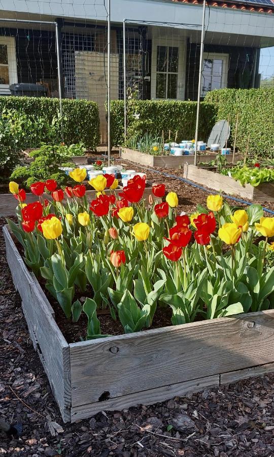 De Kopstoof Bed & Breakfast Lekkerkerk Eksteriør bilde